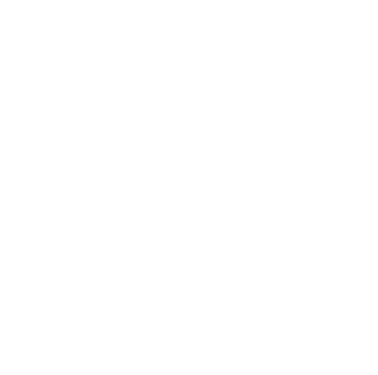 Product fulfilment and logistics audit & implementation icon
