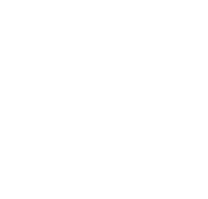 Technical Platform Audit, Security Assessment, and Implementation icon