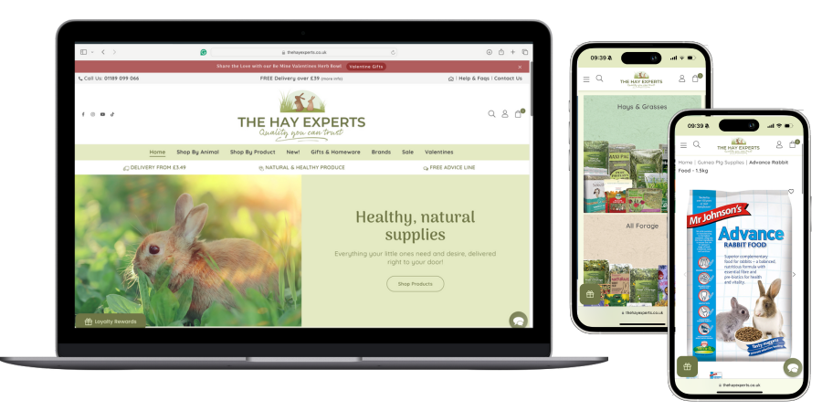 The Hay Experts Responsive - Featured Image