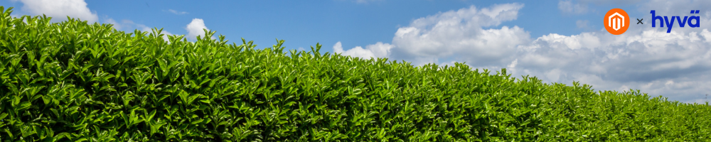 Website Case Study Cover Images-4